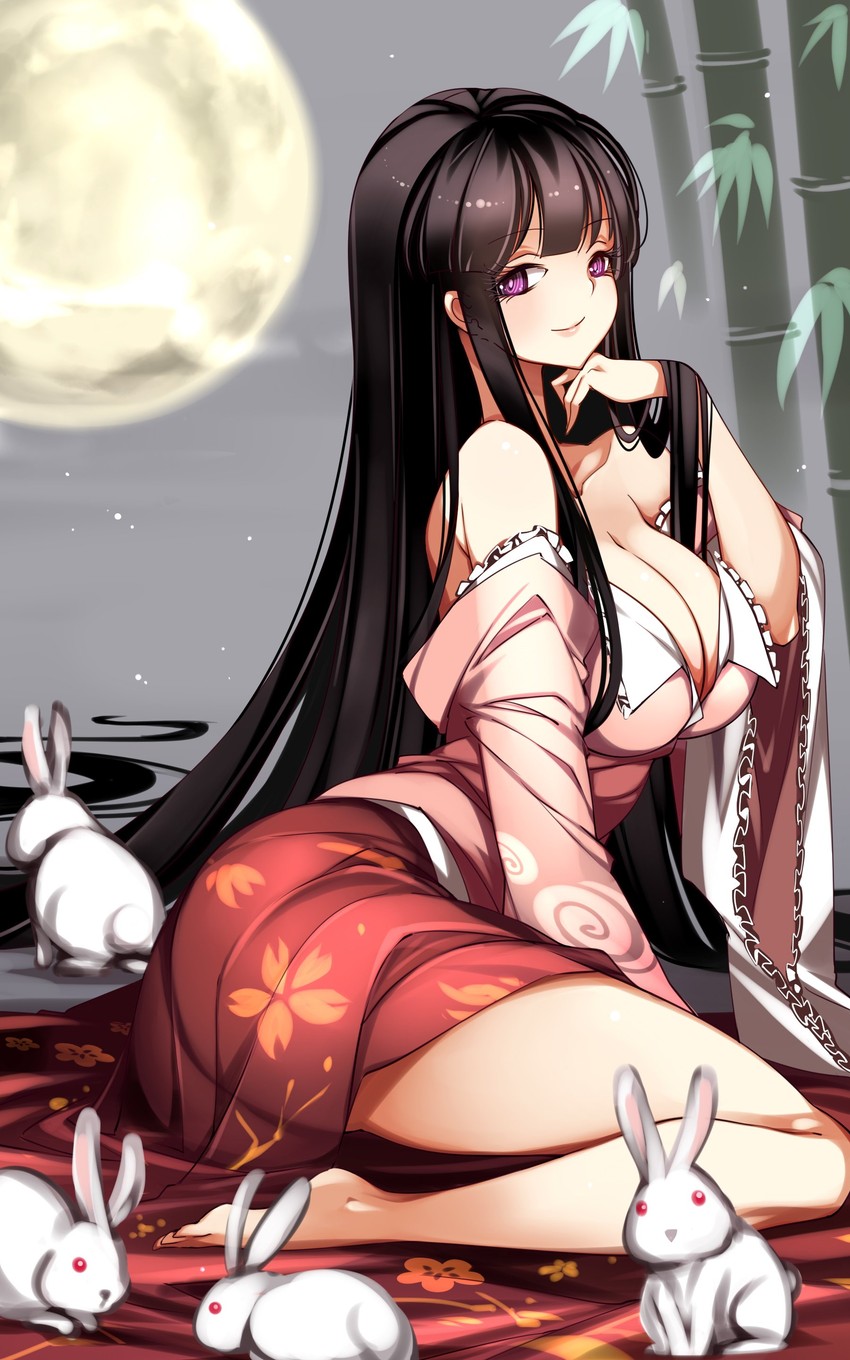 houraisan kaguya (touhou) drawn by raptor7