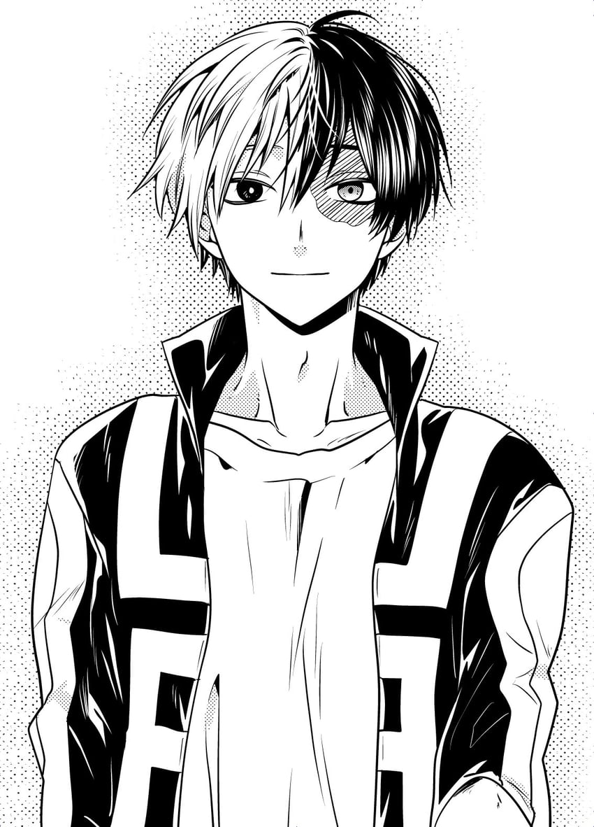 todoroki shoto (boku no hero academia) drawn by ikuhashi_muiko