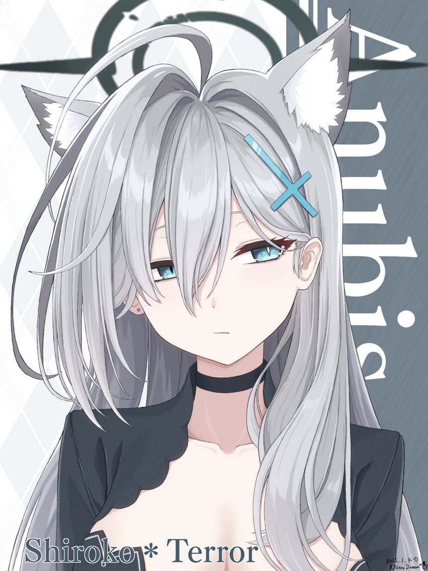 shiroko and shiroko terror (blue archive) drawn by k-d