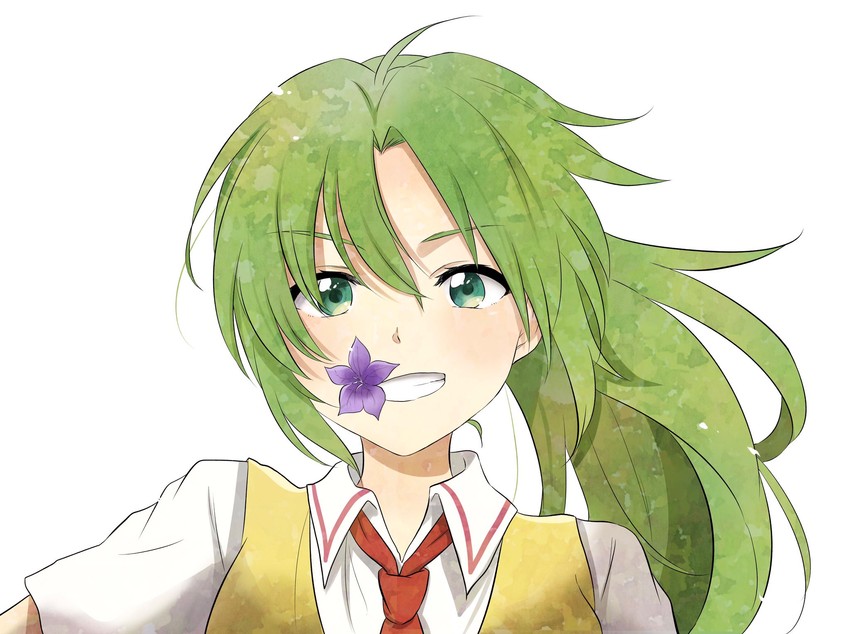 sonozaki mion (higurashi no naku koro ni) drawn by shosudo