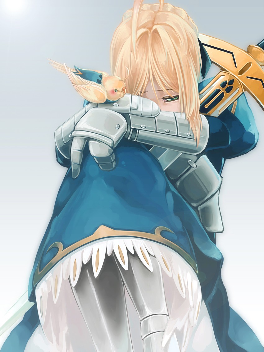 artoria pendragon and saber (fate and 1 more) drawn by sogno