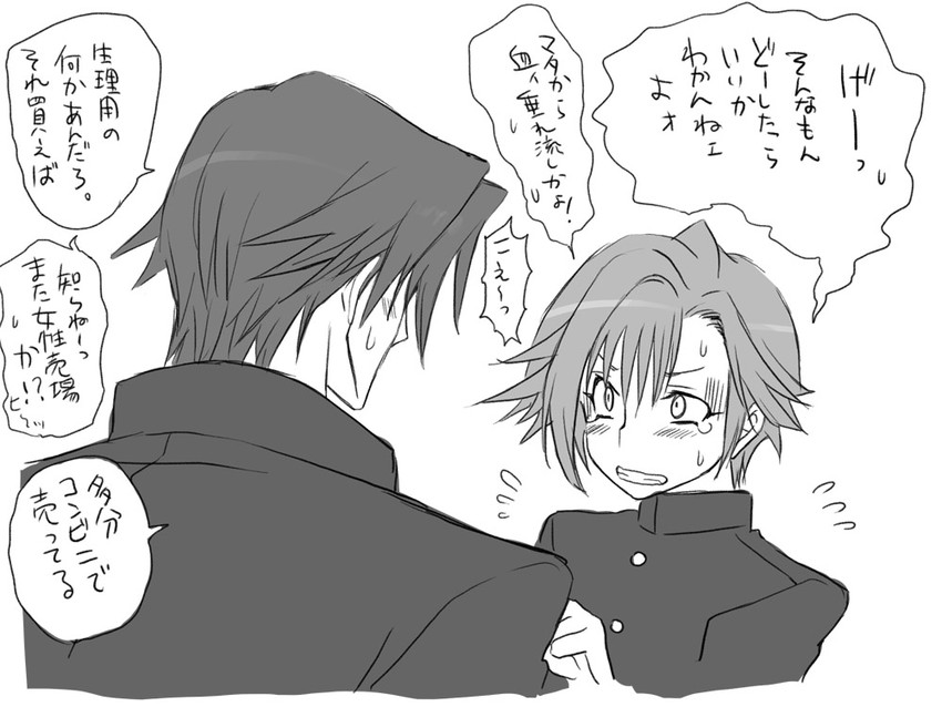 igarashi kyou and hasumi souji (seitenkango. shinyuu to) drawn by eroe