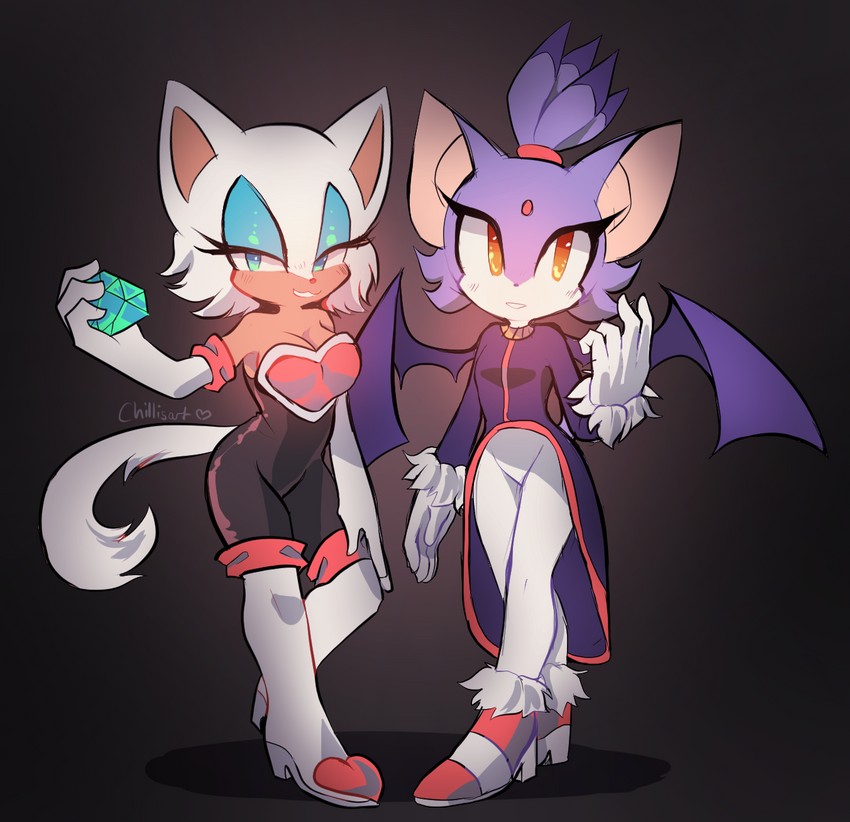 blaze the cat and rouge the bat (sonic) drawn by spacecolonie