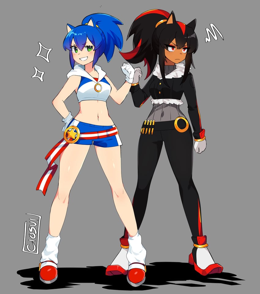 sonic the hedgehog and shadow the hedgehog (sonic and 1 more) drawn by cio_(ciosui)