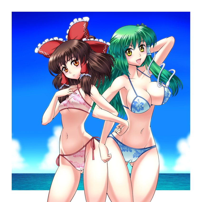 hakurei reimu and kochiya sanae (touhou) drawn by raionsan