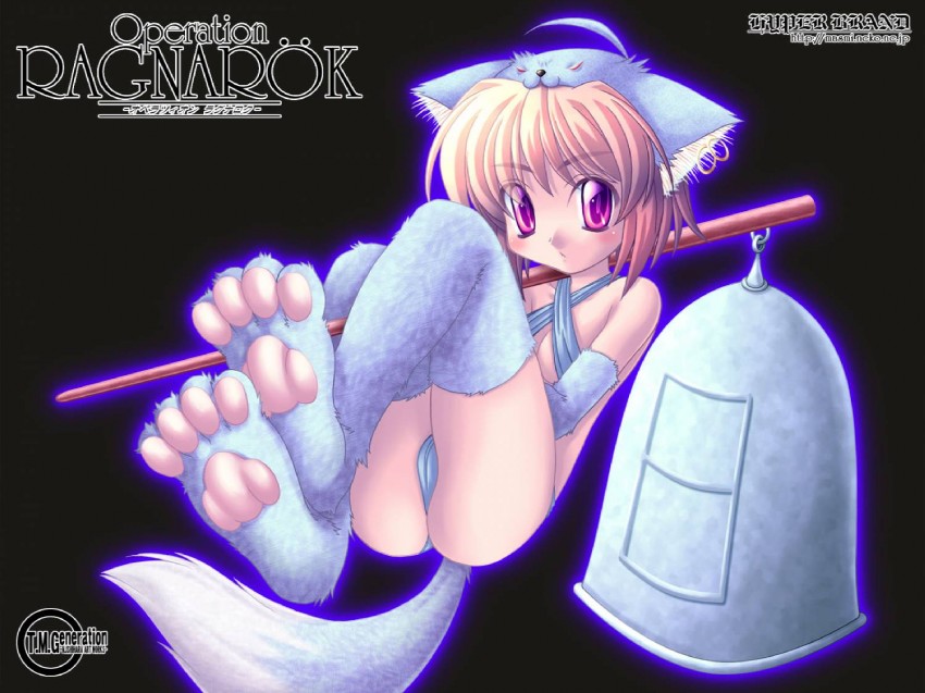 cat o' nine tails (ragnarok online) drawn by ishihara_masumi