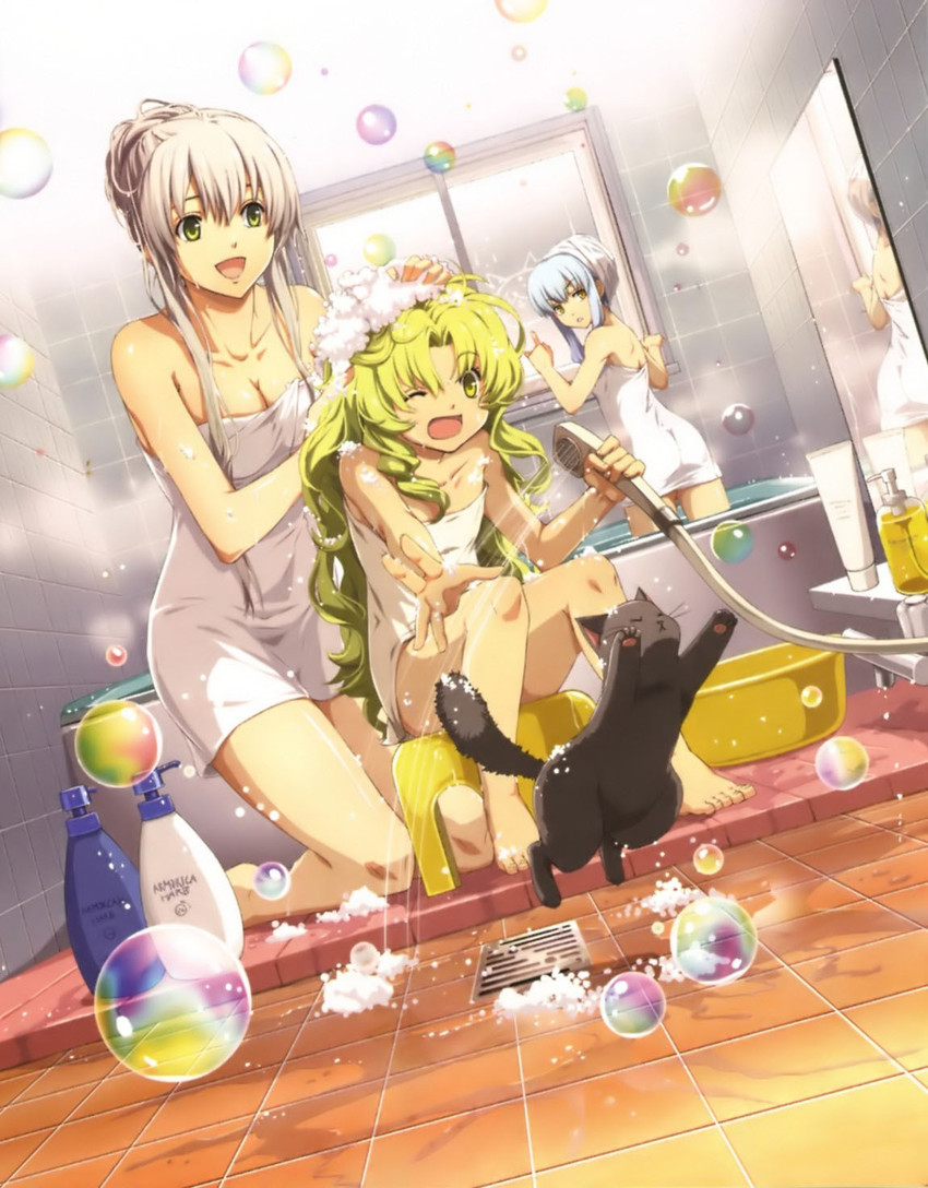 tio plato, elie macdowell, kea, and coppe (eiyuu densetsu and 1 more)