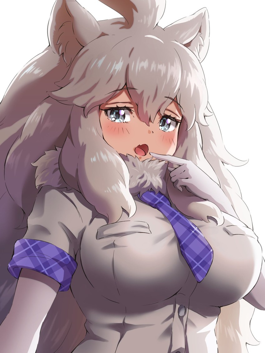 white lion (kemono friends and 1 more) drawn by tayuura_(kuwo)
