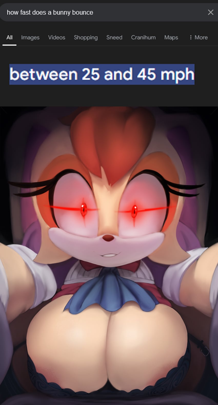 vanilla the rabbit (sonic) drawn by cranihum