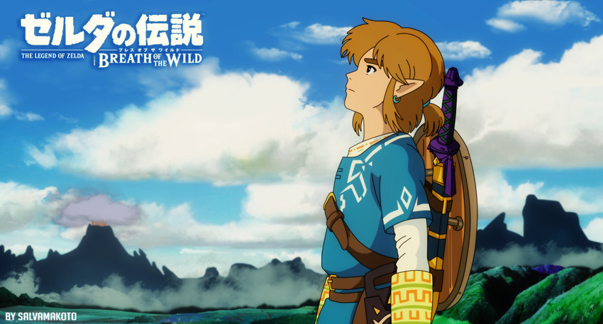 link (the legend of zelda and 1 more) drawn by salvamakoto