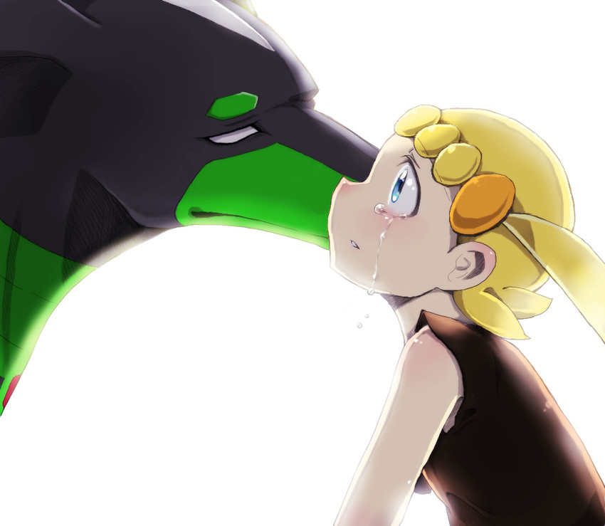 bonnie and zygarde (pokemon and 1 more) drawn by peperon_(801mominoki)