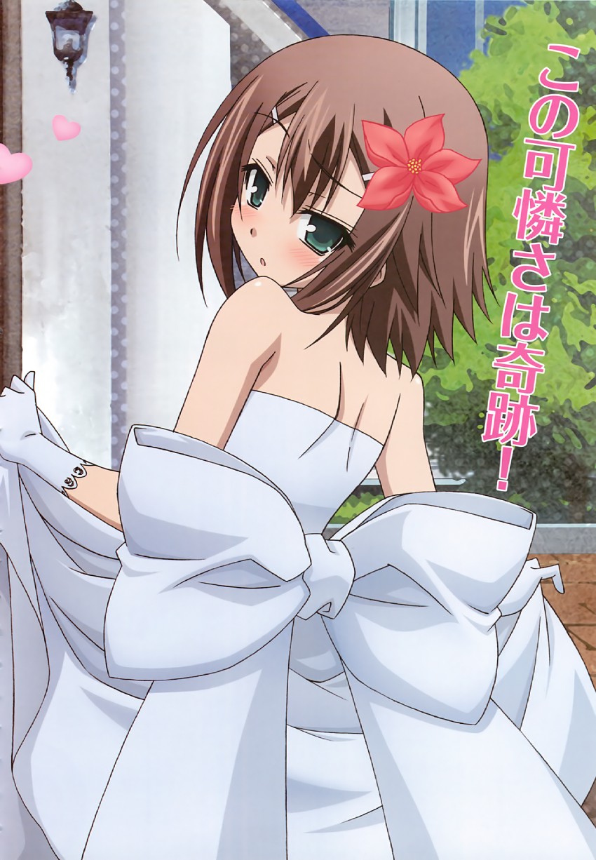 kinoshita hideyoshi (baka to test to shoukanjuu and 1 more) drawn by noda_megumi_(artist)