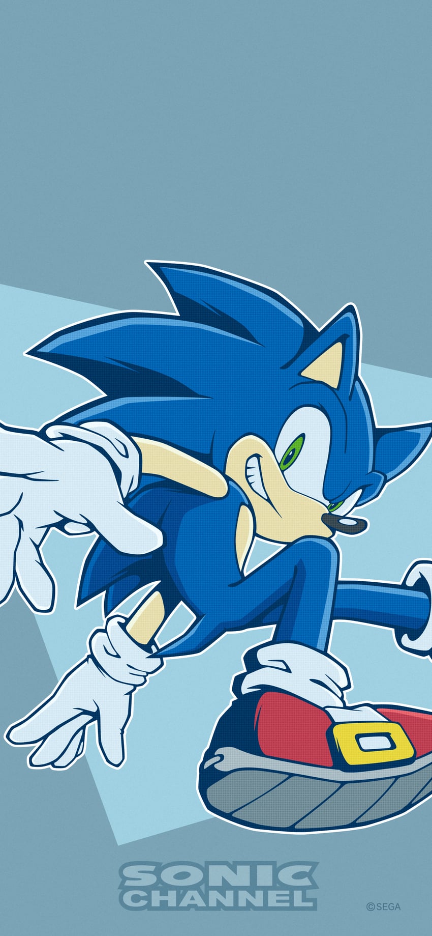 sonic the hedgehog (sonic and 1 more) drawn by hayane_tomoko