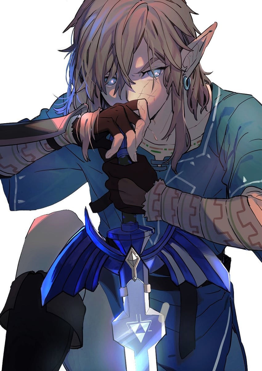 link (the legend of zelda and 1 more) drawn by gyou_chin