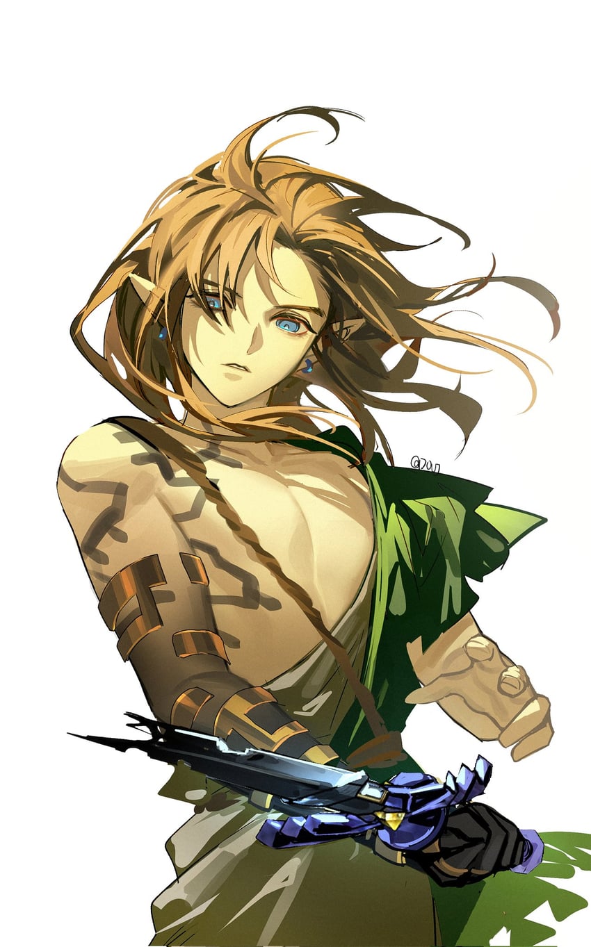 link (the legend of zelda and 1 more) drawn by duoj_ji