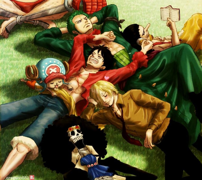 monkey d. luffy, roronoa zoro, sanji, tony tony chopper, usopp, and 2 more (one piece) drawn by oregano551