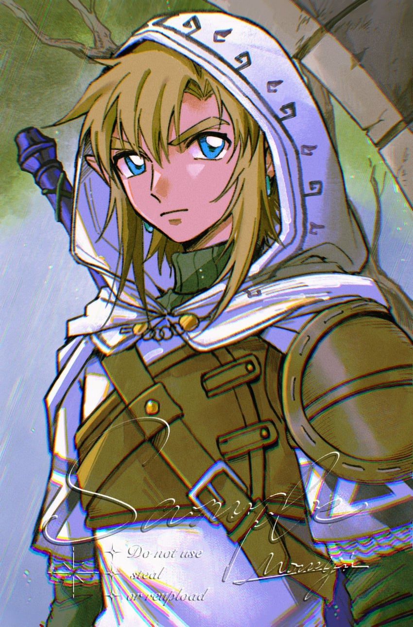 link (the legend of zelda and 1 more) drawn by mouyi