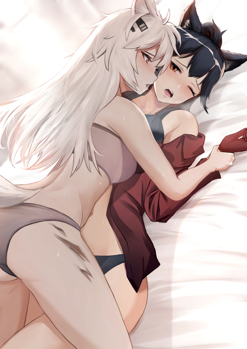 texas and lappland (arknights) drawn by krirk