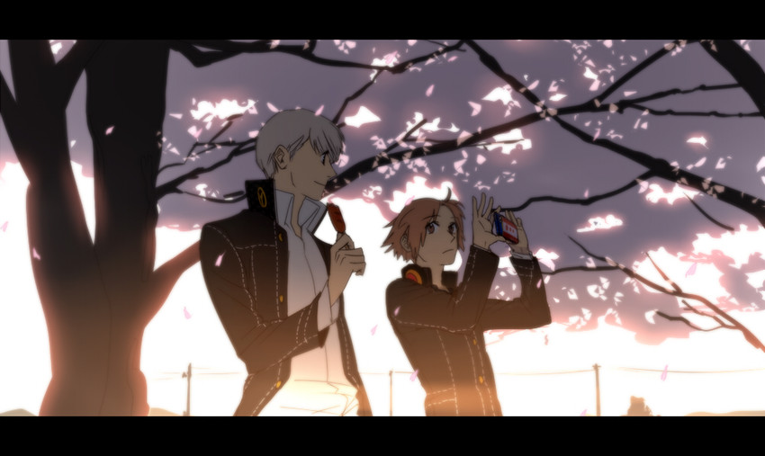 narukami yu, hanamura yousuke, and kuma (persona and 1 more) drawn by serori_(koredemoka)