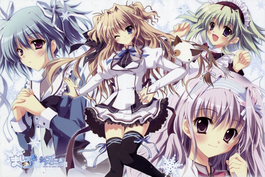 sena airi, pan-nya, amaha miu, uryuu sakuno, and angelina nanatsu sewell (mashiroiro symphony) drawn by izumi_tsubasu