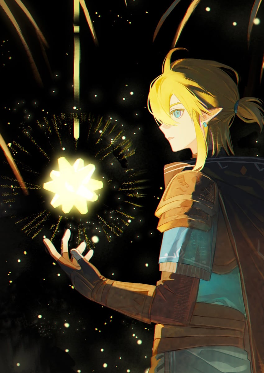 link (the legend of zelda and 1 more) drawn by sheshenqiuyi