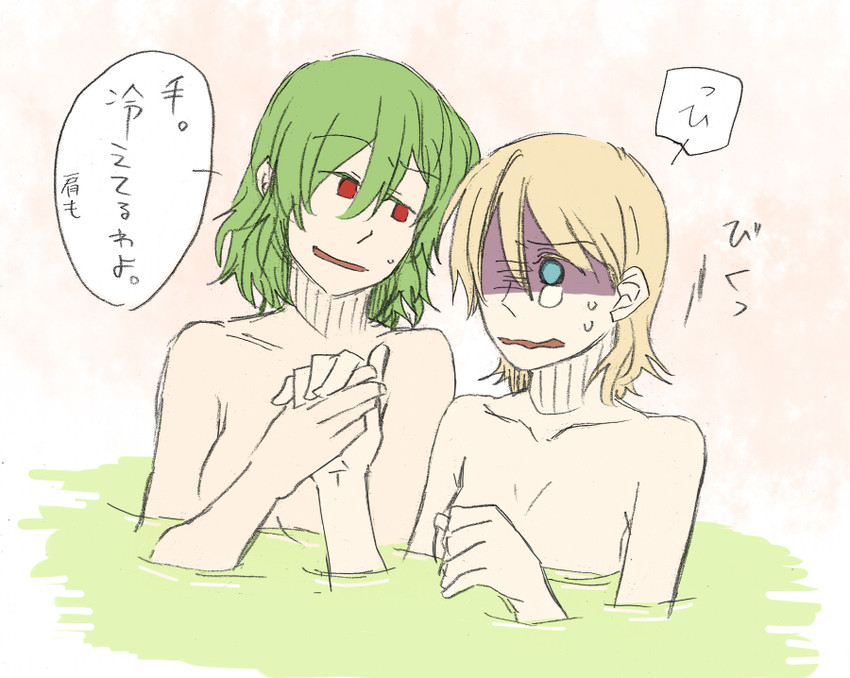 alice margatroid and kazami yuuka (touhou) drawn by torinone