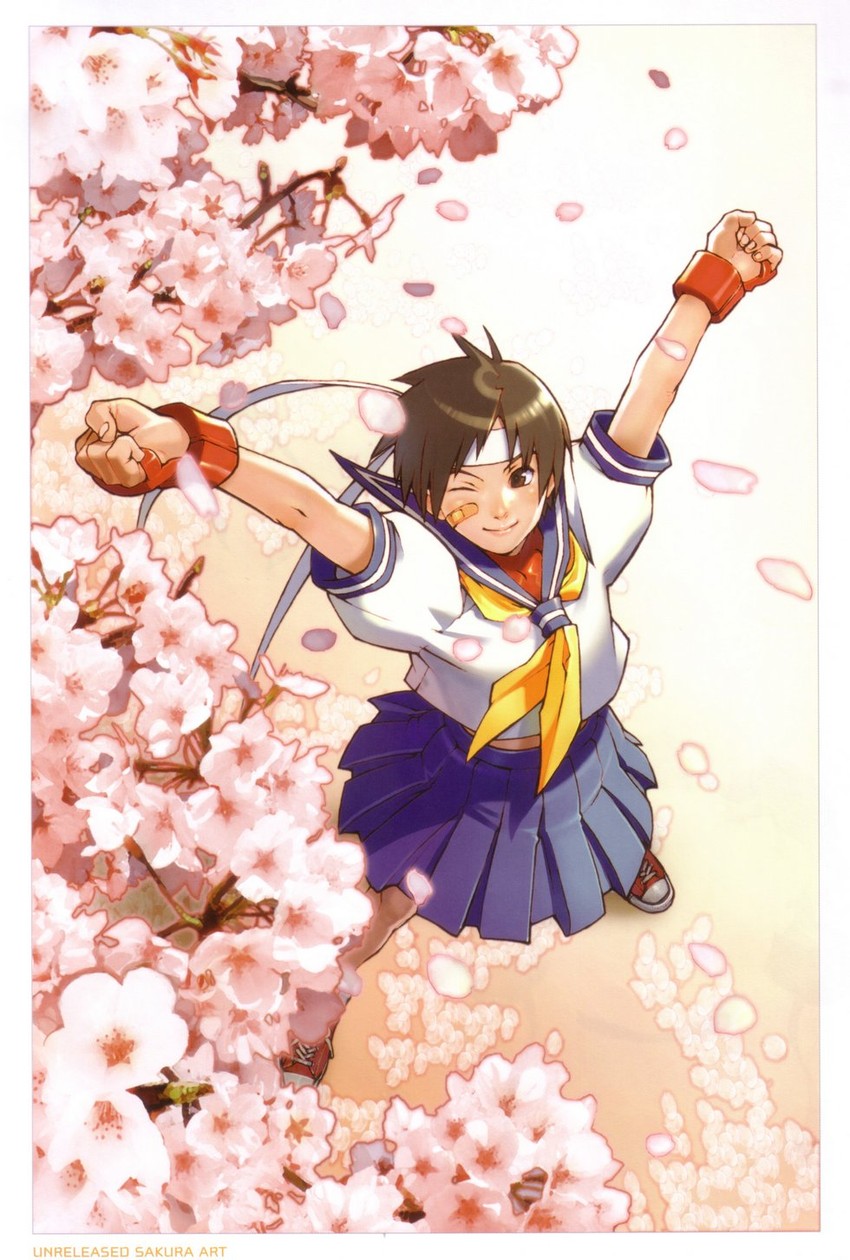 kasugano sakura (street fighter and 1 more) drawn by edaki_shin'ya and udon_entertainment