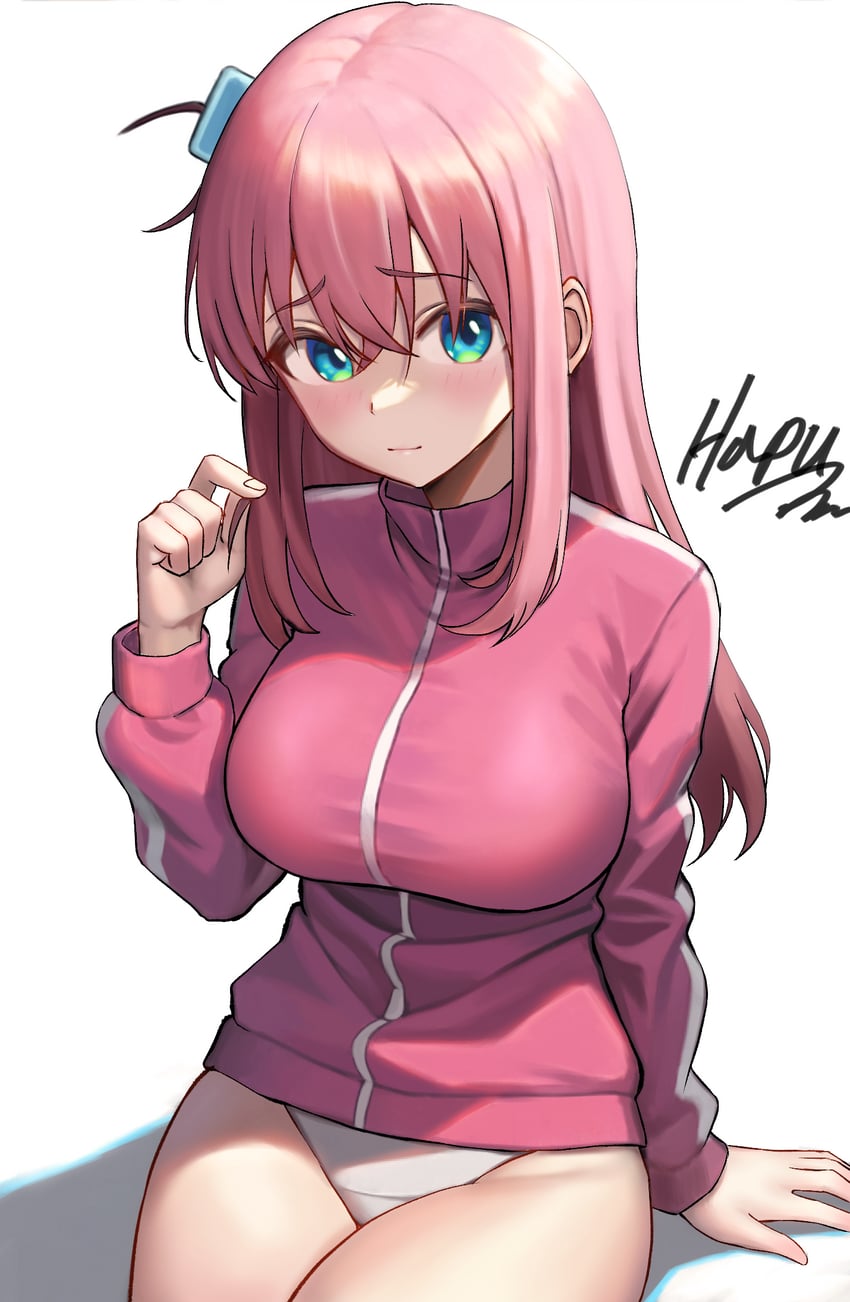 gotoh hitori (bocchi the rock!) drawn by hapu_(nfdt7773)