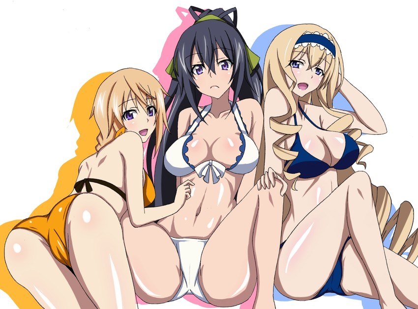 charlotte dunois, cecilia alcott, and shinonono houki (infinite stratos) drawn by kotokoto_(jumon)