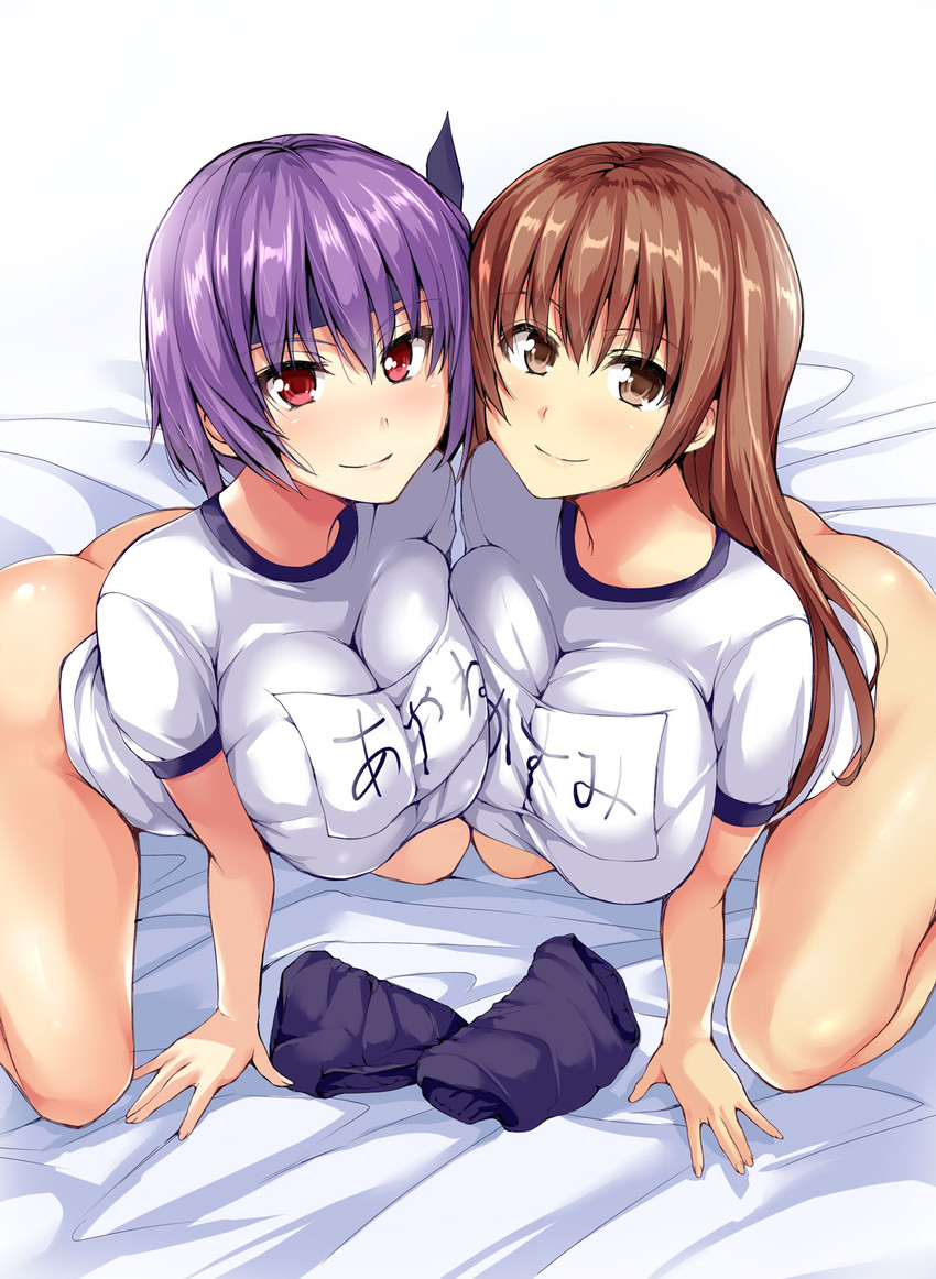 kasumi and ayane (dead or alive) drawn by tachibana_omina