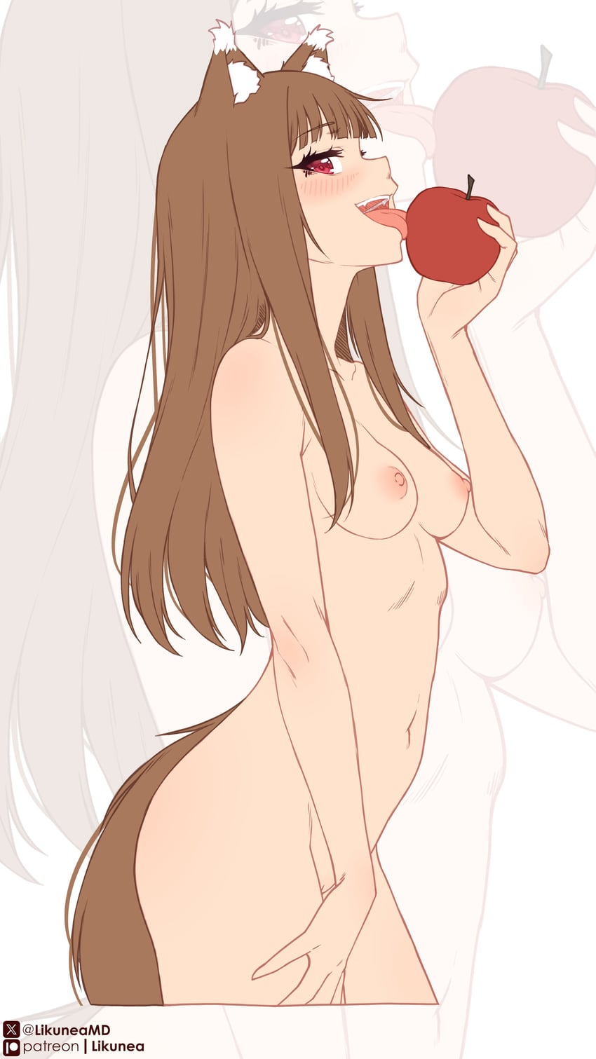 holo (spice and wolf) drawn by likunea