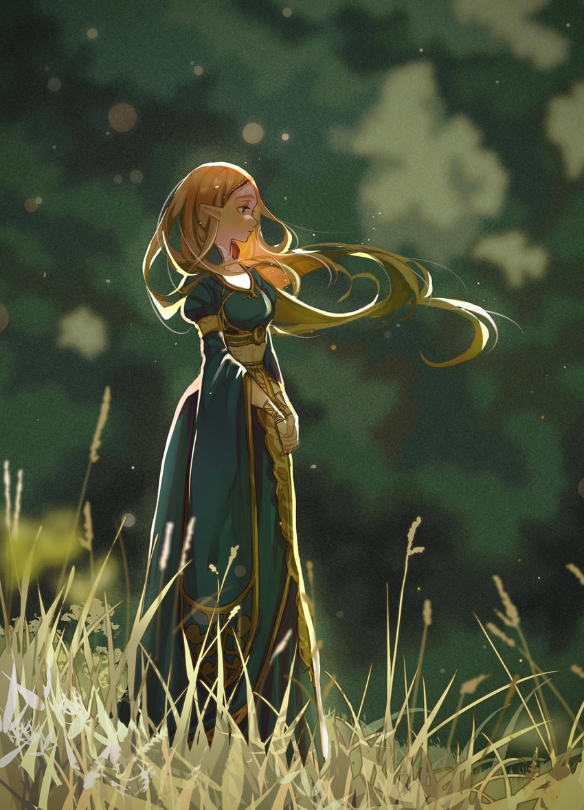 princess zelda (the legend of zelda and 1 more) drawn by jiuminene