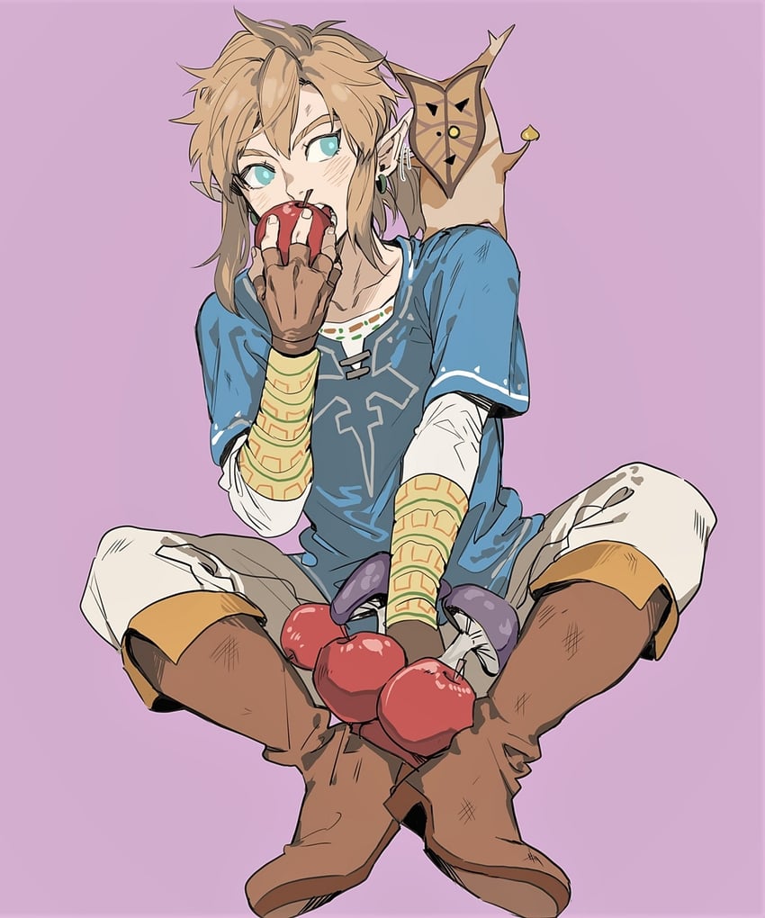 link and korok (the legend of zelda and 1 more) drawn by gyou_chin