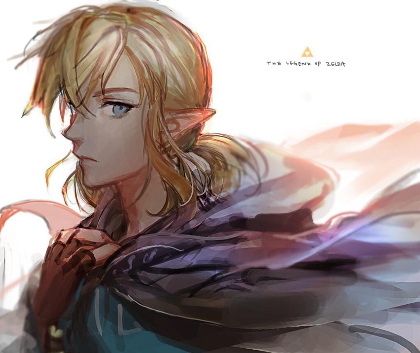 link (the legend of zelda and 1 more) drawn by charcoalo