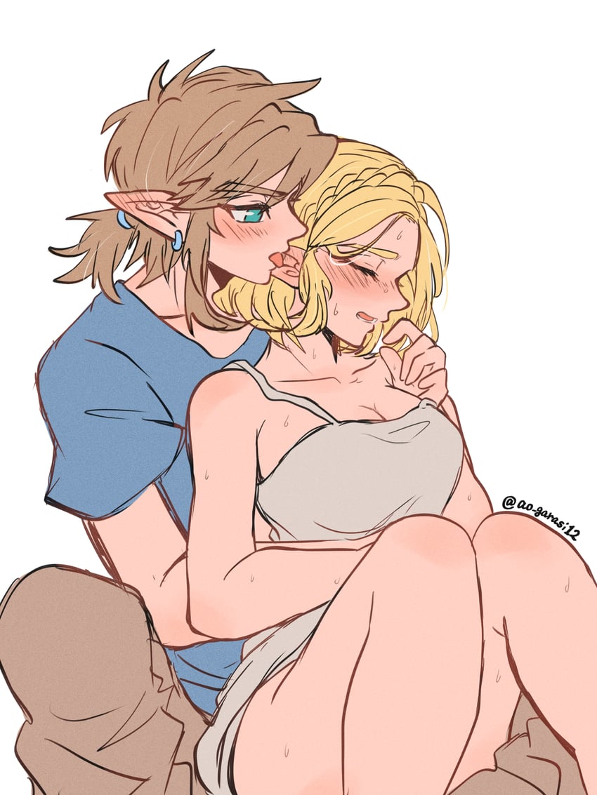 link and princess zelda (the legend of zelda and 1 more) drawn by aorin_(riley17_a)