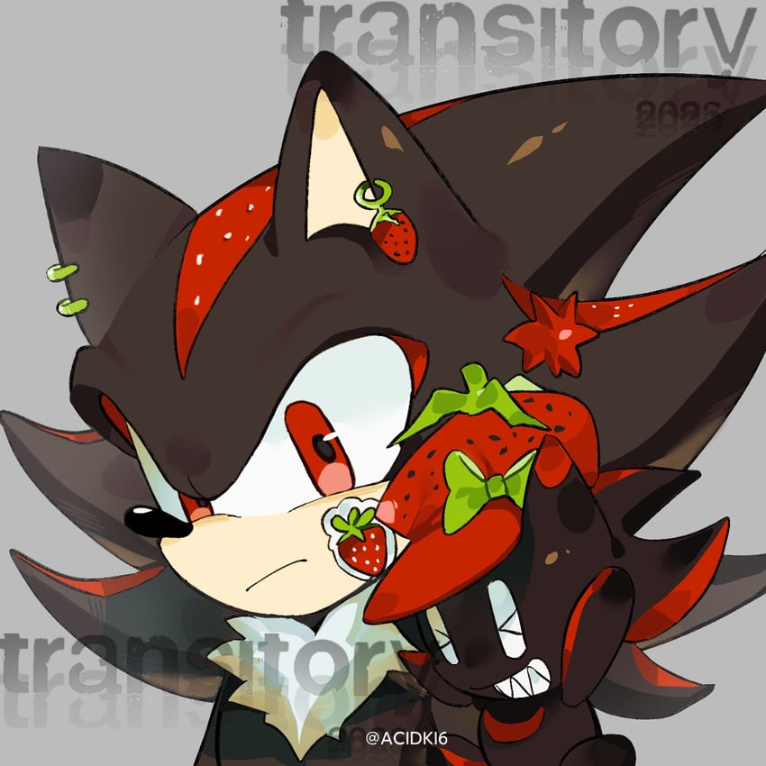shadow the hedgehog, dark chao, and shadow chao (sonic) drawn by acidki6