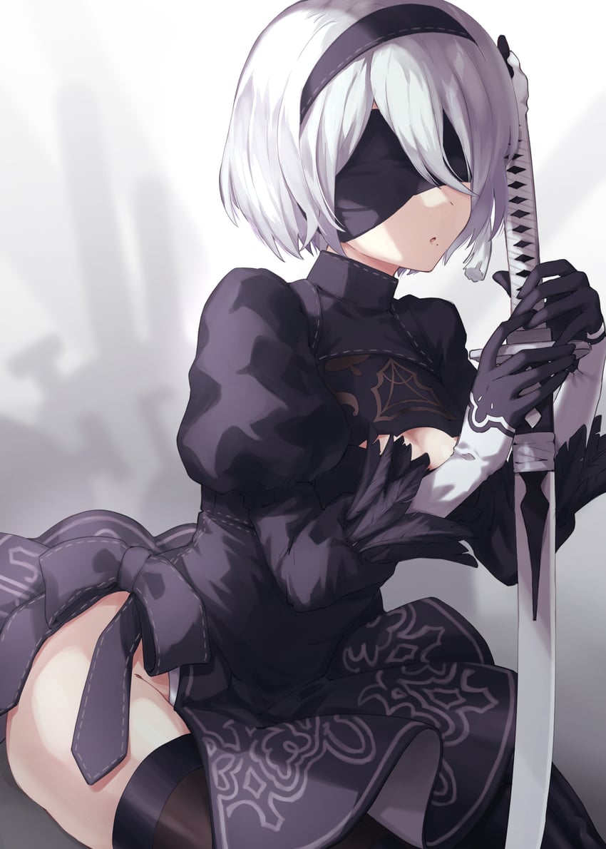2b (nier and 1 more) drawn by mochimiya_(coyo)