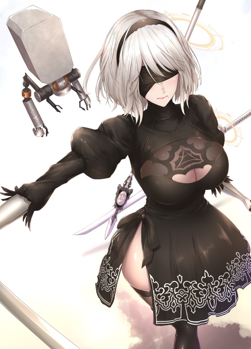2b and pod (nier and 1 more) drawn by shiroshisu