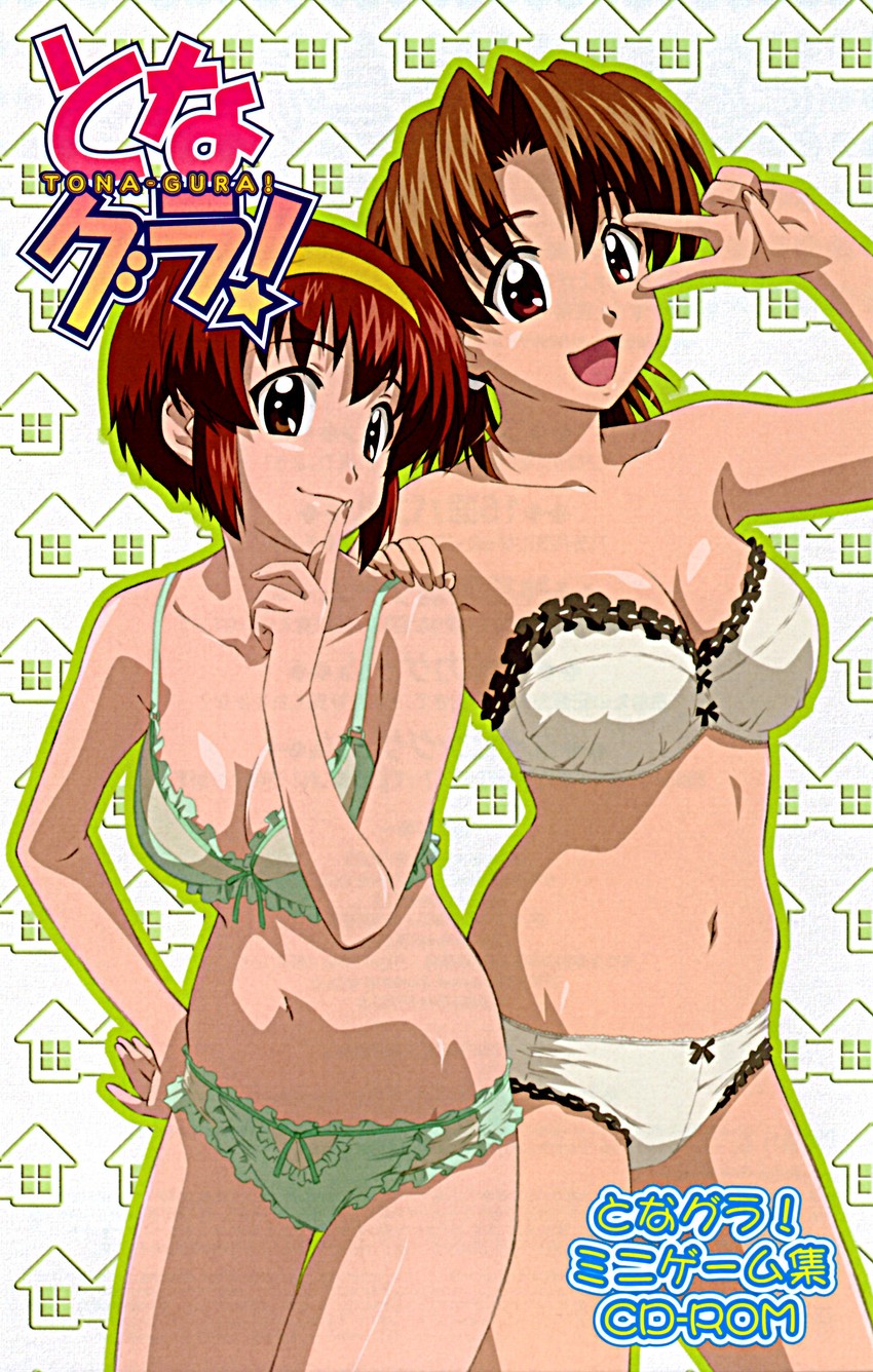 arisaka kazuki and suzuhara chihaya (megami magazine and 1 more)