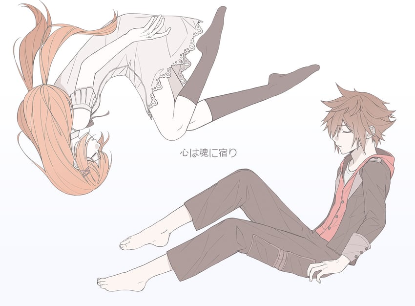 sora and strelitzia (kingdom hearts and 1 more) drawn by gongju_s2