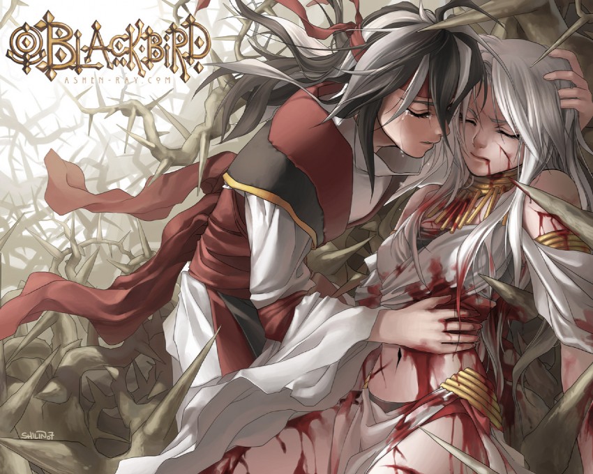 veloce visrin and blackbird (original and 2 more) drawn by shilin