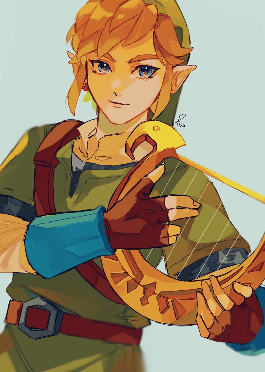 link (the legend of zelda and 1 more) drawn by pisu_1107