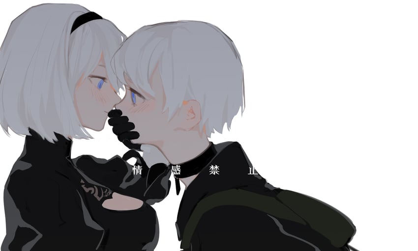 2b and 9s (nier and 1 more) drawn by iris_yi