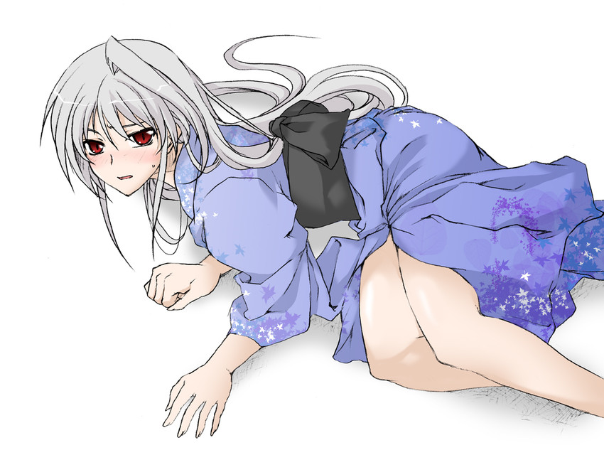 reinforce (lyrical nanoha and 2 more) drawn by elf_(stroll_in_the_woods)