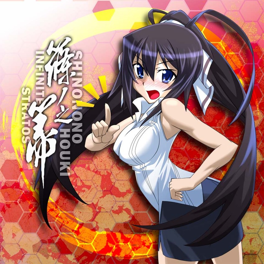 shinonono houki (infinite stratos) drawn by tales_(tales_of_phirmament)
