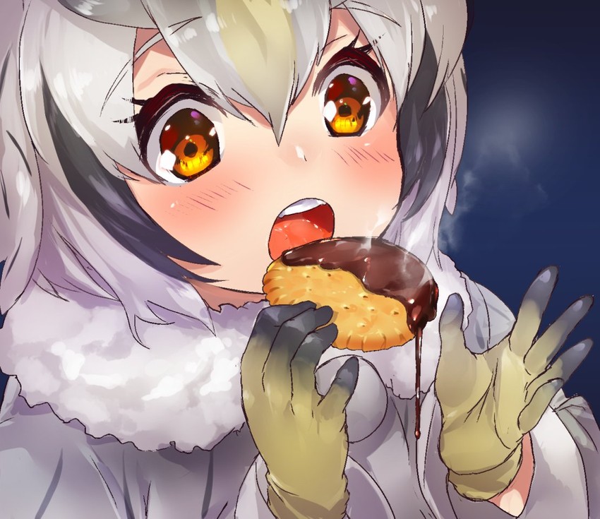 northern white-faced owl (kemono friends) drawn by tadano_magu
