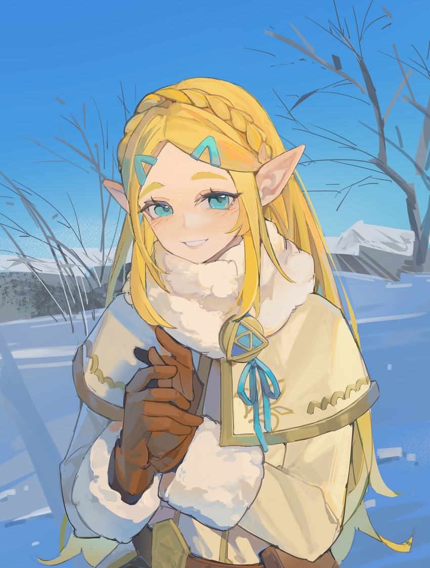 princess zelda (the legend of zelda) drawn by koyo_(koyo00)