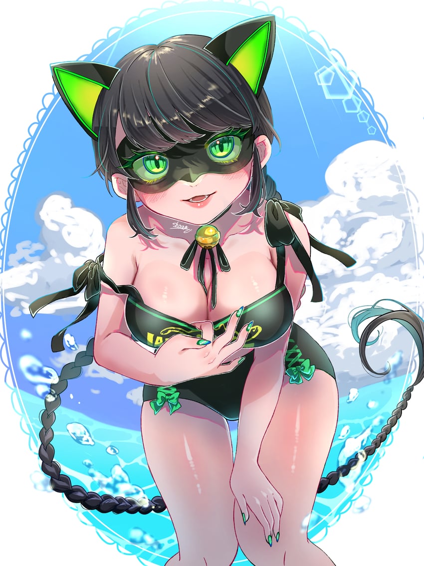 marinette dupain-cheng and lady noir (miraculous ladybug) drawn by shana3378