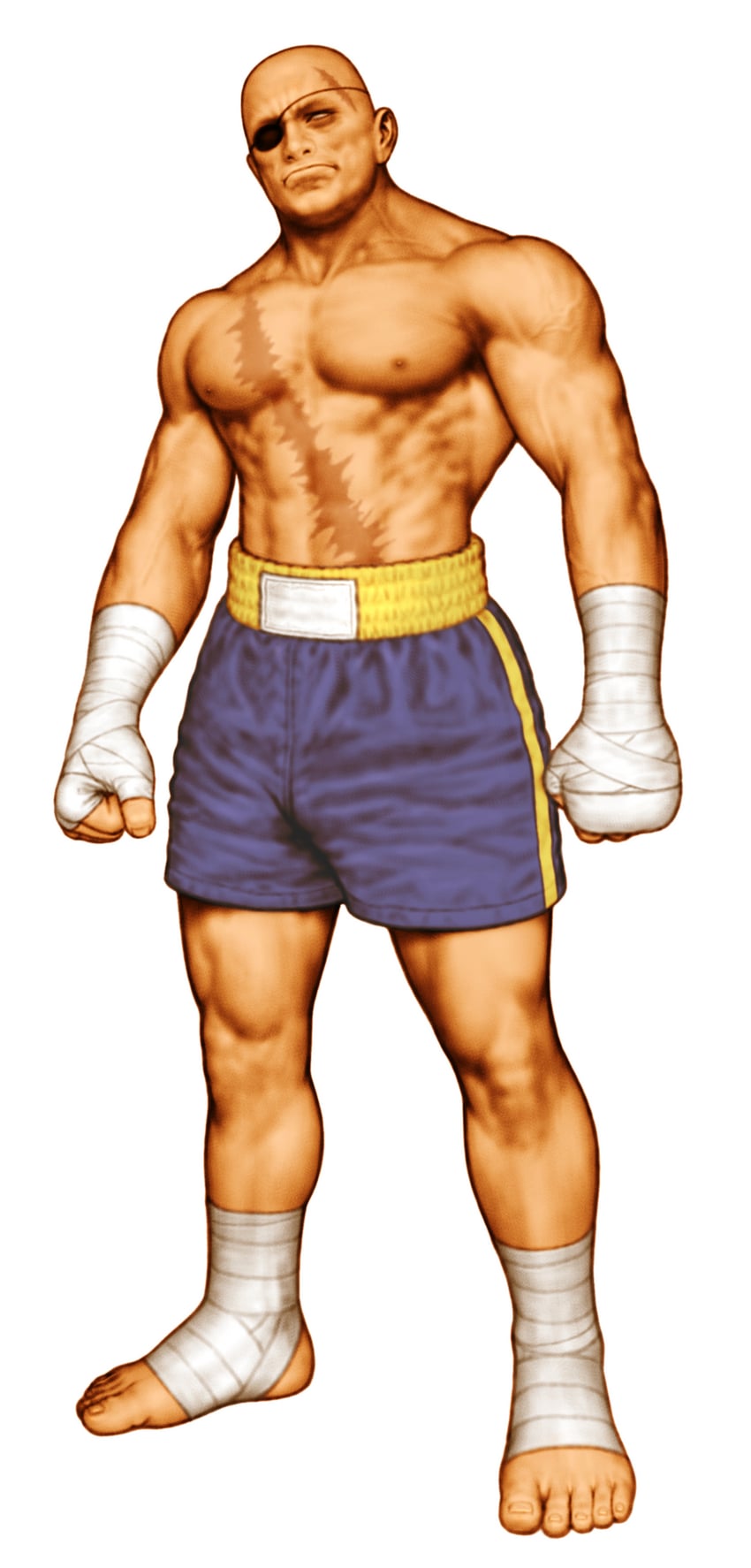 sagat (street fighter and 1 more) drawn by mori_toshiaki