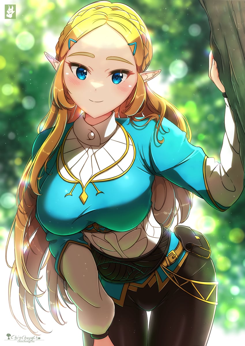 princess zelda (the legend of zelda and 1 more) drawn by chinchongcha